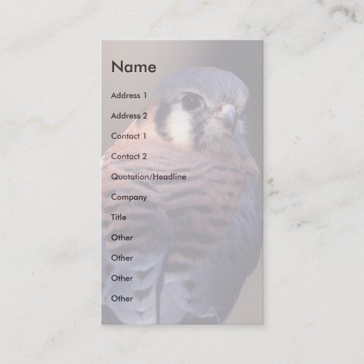 プロフィールか名刺、kestrel 名刺 (正面)