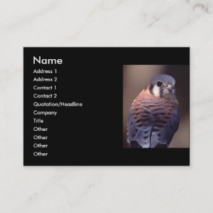 プロフィールか名刺、kestrel 名刺