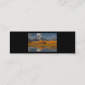 プロフィールか名刺、oxbowのくねり スキニー名刺 (裏面)