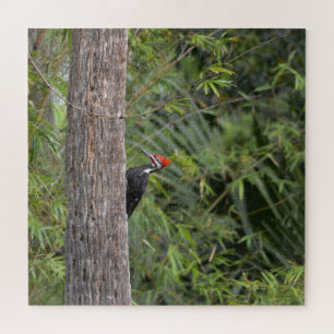 プロフィールFlorida Pileated Woodpecker自然写真 ジグソーパズル