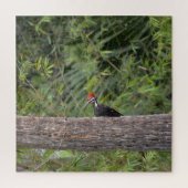 プロフィールFlorida Pileated Woodpecker自然写真 ジグソーパズル (縦)