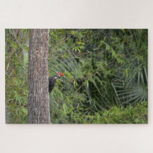 プロフィールFlorida Pileated Woodpecker自然写真 ジグソーパズル