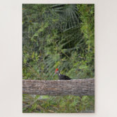 プロフィールFlorida Pileated Woodpecker自然写真 ジグソーパズル (縦)