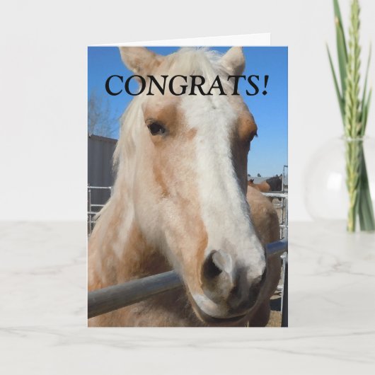 プロフェッショナルおもしろい研究者祝い馬 カード (正面)