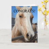 プロフェッショナルおもしろい研究者祝い馬 カード (黄色い花)