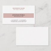 プロフェッショナルトレンディーハーモニックカラーエレガントプレーン 名刺 (正面/裏面)