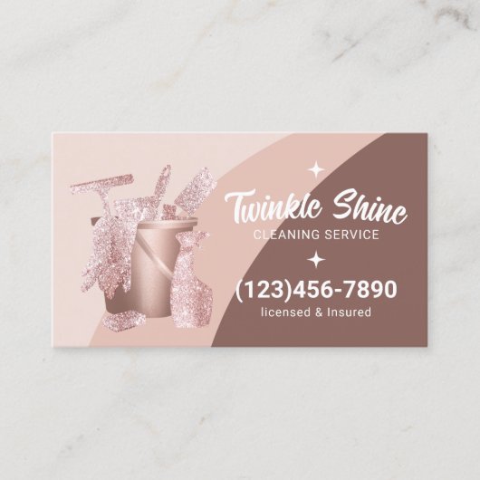 プロフェッショナルハウス清掃サーモダンビス 名刺 (正面)