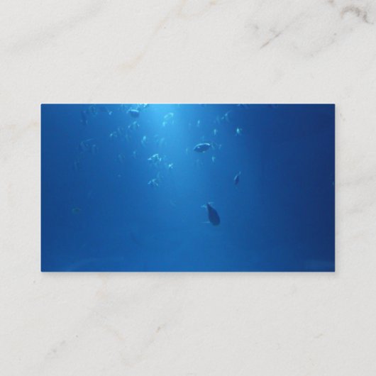 プロフェッショナルブルー海魚類魚釣りガイド 名刺 (裏面)