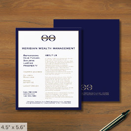 プロフェッショナルプロモーションチラシ（ロゴ付き） チラシ