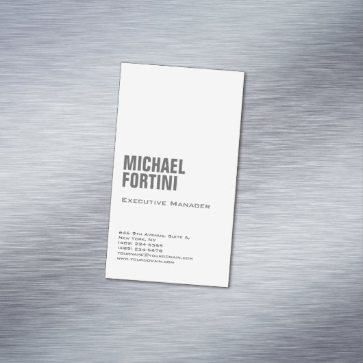 プロフェッショナルミニマモダンルはっきりした平原 マグネット名刺 (インサイチュ)