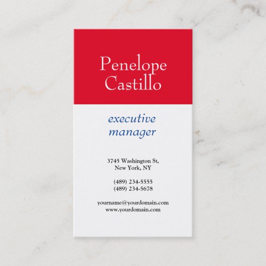 プロフェッショナルモダンシンプル平青レッドホワイト 名刺 (正面)