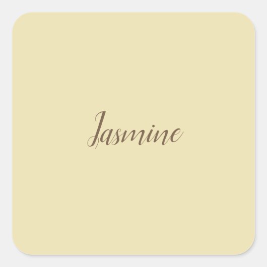 プロフェッショナルモダンミニマリストパステルベージュカラー スクエアシール (正面)