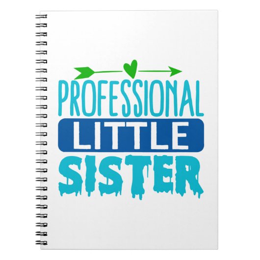 プロフェッショナルリトルシスターブルードリッ絵を描プ ノートブック (正面)