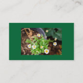 プロフェッショナル事業，住所，電話，ウェブサイト 名刺 (裏面)