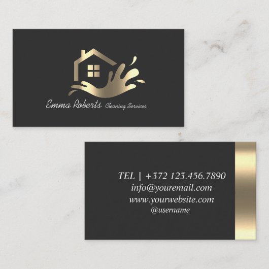 プロフェッショナル信頼できる清掃サービス事業 名刺 (正面/裏面)