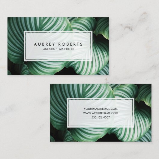 プロフェッショナル造園建築熱帯植物 名刺 (正面/裏面)