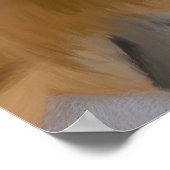 プロボシス・モンキー絶滅危惧種 ポスター (角)