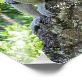 プロボシス・モンキー フォトプリント            (角)