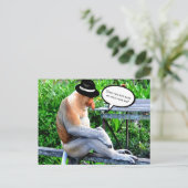 プロボシス・モンキー – 私の鼻を大きく見せるか? ポストカード (スタンド正面)