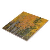 プロボリバーと《植物》アスペンツリー タイル (側面)