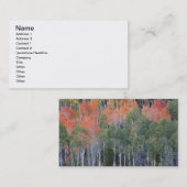 プロボリバーと《植物》アスペンツリー 名刺 (正面/裏面)