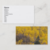 プロボリバーと《植物》アスペンツリー 名刺 (正面/裏面)