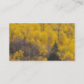 プロボリバーと《植物》アスペンツリー 名刺 (裏面)