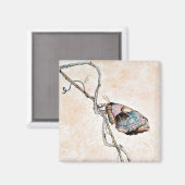 プロメテアモス マグネット (正面/裏面)