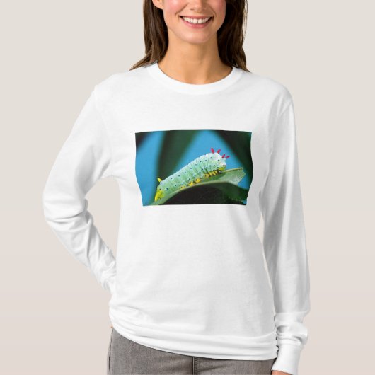 プロメテウスガヤママカイコ Tシャツ (正面)