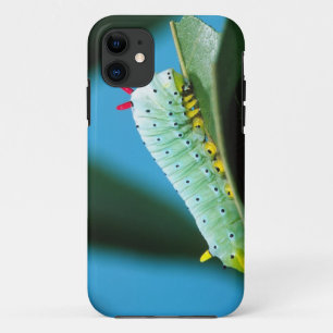 プロメテウスガ幼虫, Callosamia iPhone 11 ケース