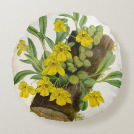 プロメネアシトリナヴィンテージリンデニアラン ラウンドクッション