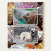 プロモデイリーカスタマイズプランナーユー – HAMbyWG プランナー手帳 (裏面)