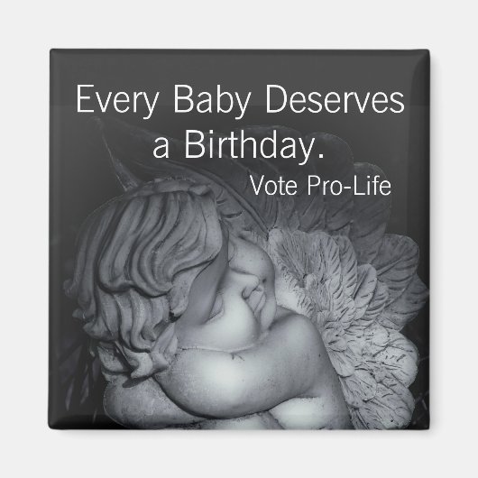 プロライフマグネット マグネット (正面)