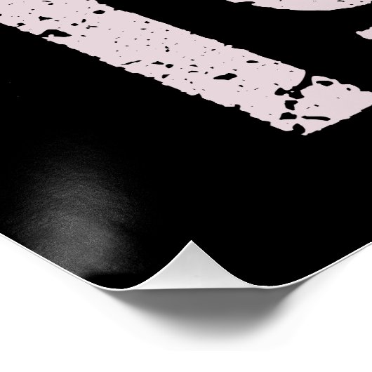 プロロー1973 ポスター (コーナー)