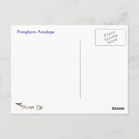 プロングホーン アンテロープ ワイルドライフ シリーズ #9 ポストカード (裏面)