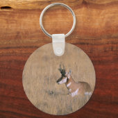 プロングホーン キーホルダー (正面)