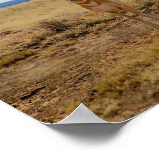 プロングホーン ポスター (角)