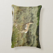 プロングポーンアットグランドテトン国立公園 アクセントクッション (裏面(縦))