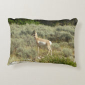 プロングポーンアットグランドテトン国立公園 アクセントクッション (裏面)