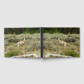 プロングポーンアットグランドテトン国立公園 ゲストブック (全面)