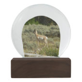 プロングポーンアットグランドテトン国立公園 スノーグローブ (裏面)