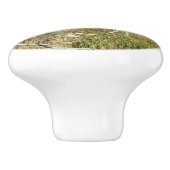 プロングポーンアットグランドテトン国立公園 セラミックノブ (側面)