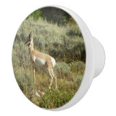 プロングポーンアットグランドテトン国立公園 セラミックノブ (右)