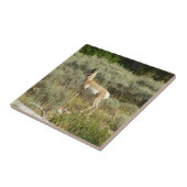 プロングポーンアットグランドテトン国立公園 タイル (側面)