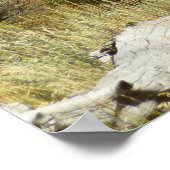 プロングポーンアットグランドテトン国立公園 ポスター (角)