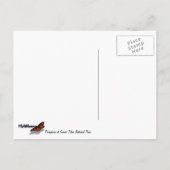 プロングポーンアットグランドテトン国立公園 ポストカード (裏面)