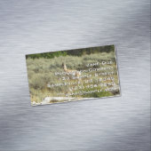 プロングポーンアットグランドテトン国立公園 マグネット名刺 (インサイチュ)