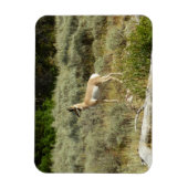 プロングポーンアットグランドテトン国立公園 マグネット (縦)