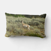 プロングポーンアットグランドテトン国立公園 ランバークッション (裏面)