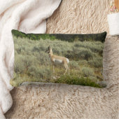 プロングポーンアットグランドテトン国立公園 ランバークッション (ブランケット)